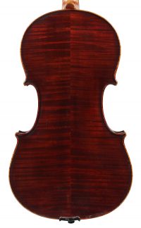 Davide Chirone, Marino Comense 1904, 16'' Back