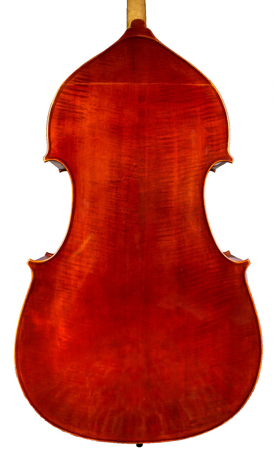 Double Bass For Sale, Large Selection, Try At Our Violin Shop