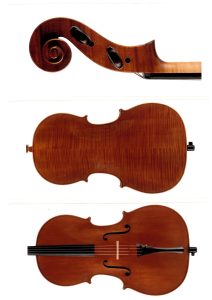 Luca Primon, Trento 2015 Certificate 2