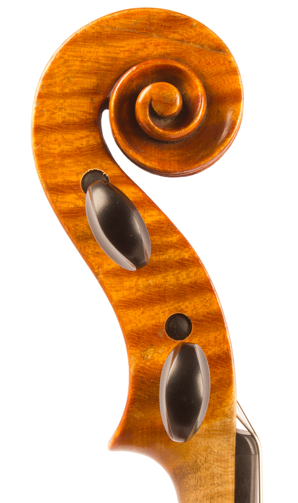 Giuseppe Pedrazzini, Milan 1924 Scroll