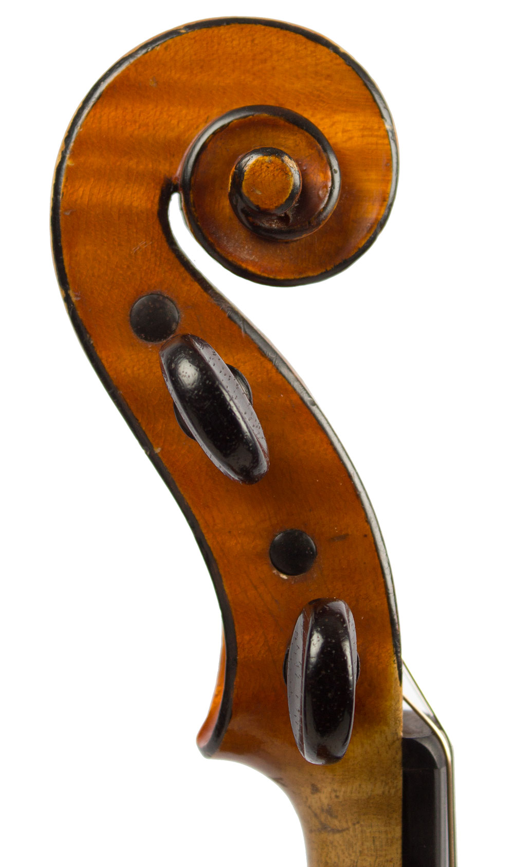 Carlo Giuseppe Oddone, Turin 1896 Scroll